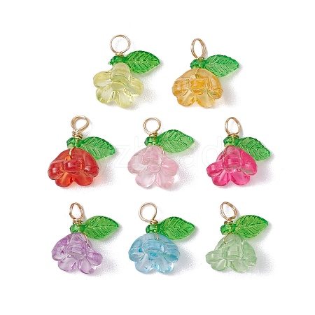 Acrylic Charms PALLOY-JF03079-1