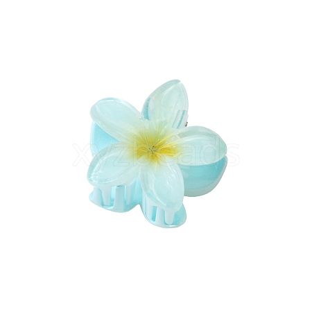 Plastic Claw Hair Clips PW-WG07B2B-05-1