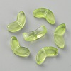 Transparent Handmade Lampwork Beads LAMP-CJC0012-01H-1