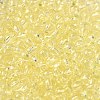 Transparent Colours Glass Seed Beads SEED-P007-02A-03-3