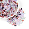 Frosted Glass Seed Beads SEED-N008-05-1