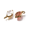 Brass Charms X1-KK-Q043-06G-2