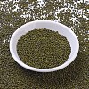 MIYUKI Round Rocailles Beads SEED-G010-RR4519-2