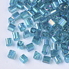 6/0 Glass Seed Beads SEED-S027-06B-14-3