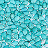 310Pcs 5 Styles Synthetic Turquoise & Howlite Beads Sets TURQ-PA0001-02-7
