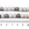 Ombre Effect Dyed Glass Beads Strands X-GLAA-T031-01O-03-5