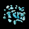 Natural Magnesite Chip Beads G-M364-09B-1