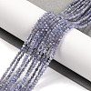 Natural Tanzanite Beads Strands X-G-F770-C04-03-1