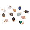 Craftdady 24Pcs 12 Style Natural & Synthetic Gemstone Pointed Pendants G-CD0001-04-8