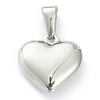 304 Stainless Steel Pendants STAS-P278-01Y-P-2