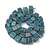 Natural Apatite Beads Strands G-G053-B18-04-3