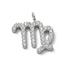 304 Stainless Steel Micro Pave Cubic Zirconia Charms STAS-Z107-09P-10-1