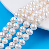 Grade AA Natural Cultured Freshwater Pearl Beads Strands PEAR-N013-07A-5