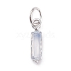 304 Stainless Steel Cubic Zirconia Pendants STAS-E487-21P-11-1