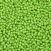 11/0 Grade A Baking Paint Glass Seed Beads X-SEED-N001-A-1024-2