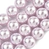 Electroplated Shell Pearl Beads Strands BSHE-G041-14mm-06-1