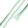 10 Skeins 6-Ply Polyester Embroidery Floss OCOR-K006-A25-3