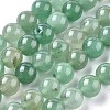 Natural Green Aventurine Beads Strands G-Q462-8mm-20A-6