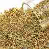 TOHO 15/0 Round Beads SEED-JPTR15-0715-1
