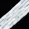 Natural Freshwater Shell Beads Strands SHEL-N003-26-5