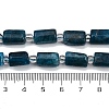 Natural Apatite Beads Strands G-G162-D10-01-5