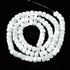 Natural Trochid Shell/Trochus Shell Beads Strands SSHEL-S266-016A-02-2