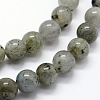 Natural Labradorite Beads Strands G-I199-15-8mm-3