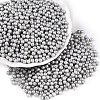 Glass Seed Beads SEED-T007-01P-3