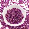 Glass Seed Beads SEED-A033-02A-02-2