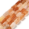 Natural Orange Botswana Agate Beads Strands G-N327-06-31-1