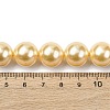 Electroplated Shell Pearl Beads Strands BSHE-G041-14mm-01-4