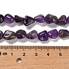 Natural Amethyst Beads Strands G-P497-01E-45-5