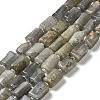 Natural Labradorite Beads Strands G-N327-06-06-1