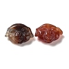 Natural Carnelian Beads G-Q007-01-2