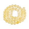 Crackle Transparent Glass Beads Strands GLAA-N068-06A-06-2