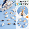 60Pcs 6 Styles Natural Mixed Shell Pendants PALLOY-AB00109-4