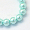 Baking Painted Pearlized Glass Pearl Round Beads Strands X-HY-Q003-10mm-45-2