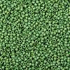 TOHO Round Seed Beads SEED-XTR08-0407F-2