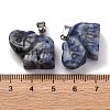 Natural Blue Spot Jasper Pendants G-B127-05P-11-3