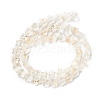 Transparent Glass Beads Strand X1-GLAA-F112-04K-3