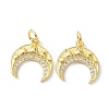 Brass Micro Pave Cubic Zirconia Charms ZIRC-C022-04G-1