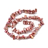 Natural Freshwater Shell Beads Strands BSHE-H018-07B-2