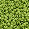 TOHO 6/0 Round Beads SEED-TR06-0044-4