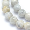 Natural Grey Moonstone Beads Strands G-I279-C01-8mm-3