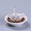 Natural Quartz Crystal Home Display Decorations DJEW-L015-02E-1