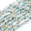 Natural Gemstone Bead Strand F031-1