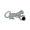 Leopard Plastic Brooch PW-WG74144-01-5