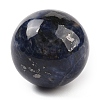 Natural Sodalite Sphere Beads G-I367-05H-1