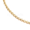 304 Stainless Steel Rolo Chain Necklaces NJEW-JN03374-5