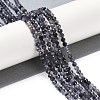 Natural Iolite Beads Strands LS-G-G139-A11-03-2